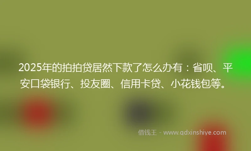 2025年的拍拍贷居然下款了怎么办有：省呗、平安口袋银行、投友圈、信用卡贷、小花钱包等。