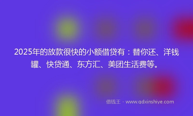 2025年的放款很快的小额借贷有：替你还、洋钱罐、快贷通、东方汇、美团生活费等。