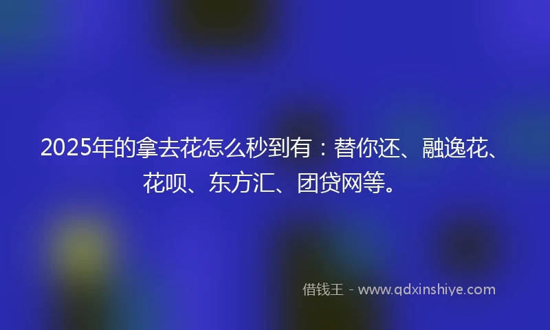 2025年的拿去花怎么秒到有：替你还、融逸花、花呗、东方汇、团贷网等。