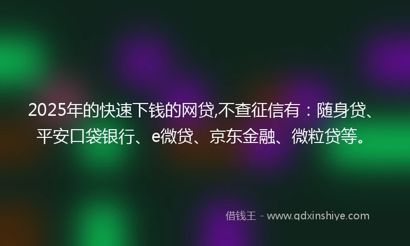 2025年的快速下钱的网贷,不查征信有：随身贷、平安口袋银行、e微贷、京东金融、微粒贷等。