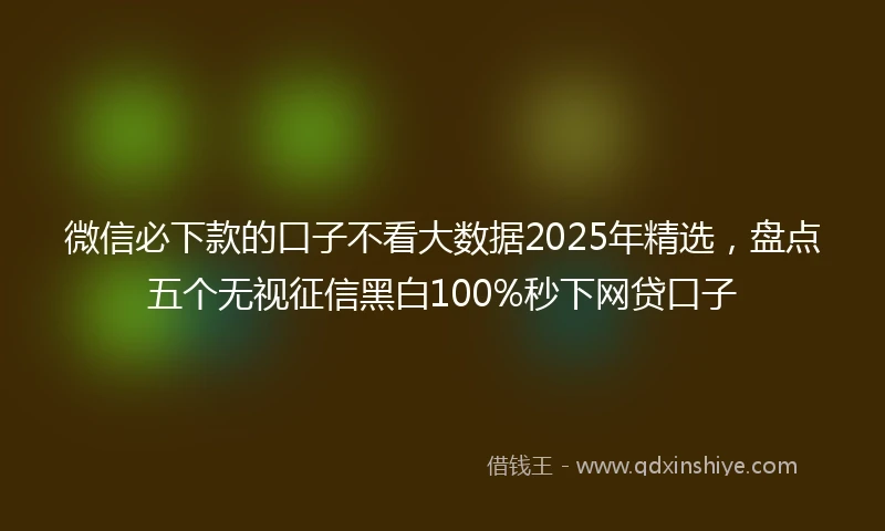 微信必下款的口子不看大数据2025年精选,盘点五个无视征信黑白100%秒下网贷口子