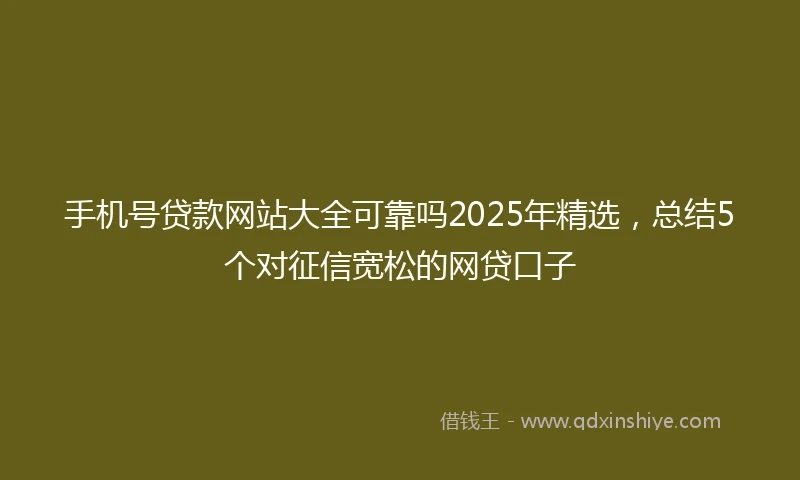 手机号贷款网站大全可靠吗2025年精选，总结5个对征信宽松的网贷口子