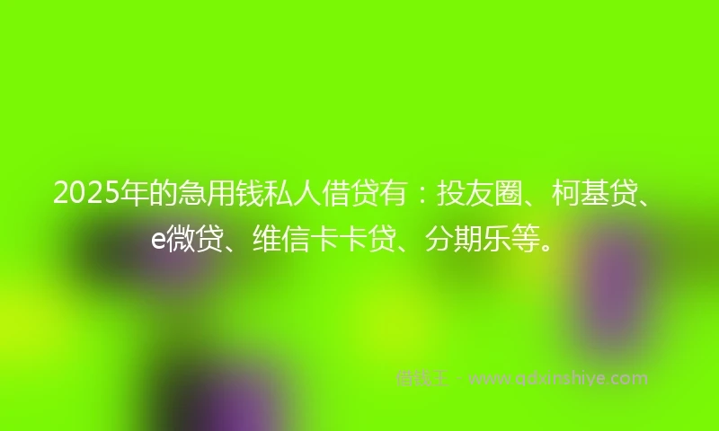 2025年的急用钱私人借贷有：投友圈、柯基贷、e微贷、维信卡卡贷、分期乐等。