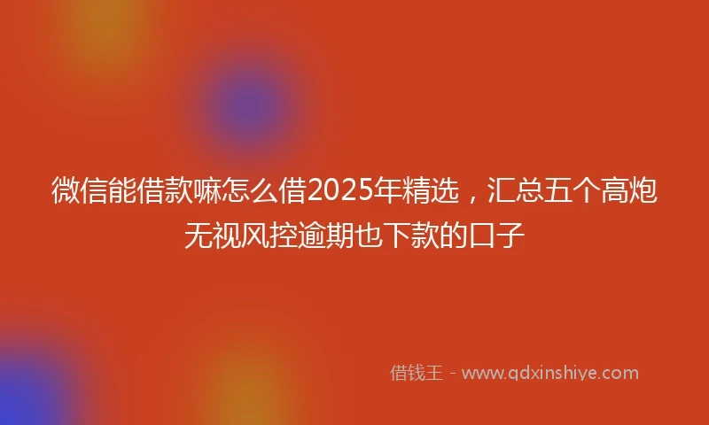 微信能借款嘛怎么借2025年精选，汇总五个高炮无视风控逾期也下款的口子