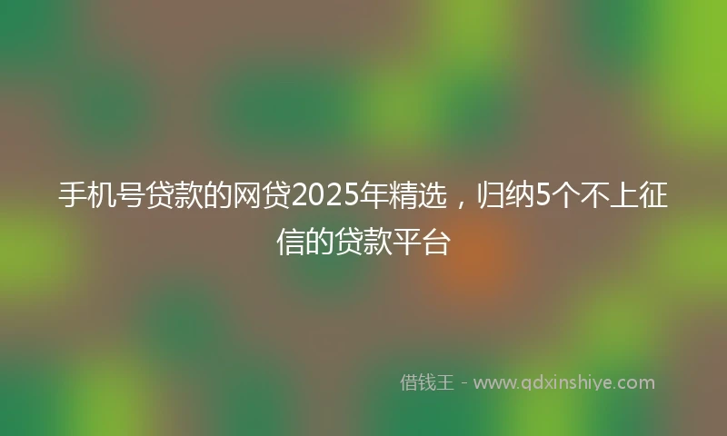 手机号贷款的网贷2025年精选，归纳5个不上征信的贷款平台
