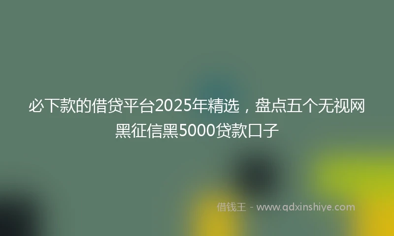 必下款的借贷平台2025年精选，盘点五个无视网黑征信黑5000贷款口子