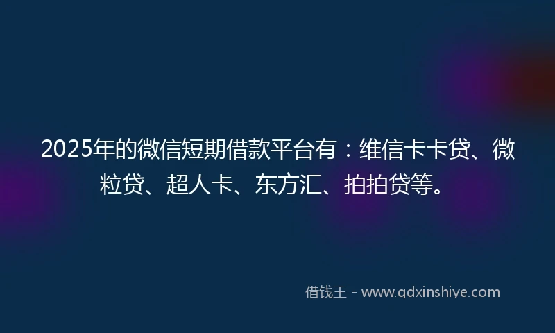2025年的微信短期借款平台有：维信卡卡贷、微粒贷、超人卡、东方汇、拍拍贷等。