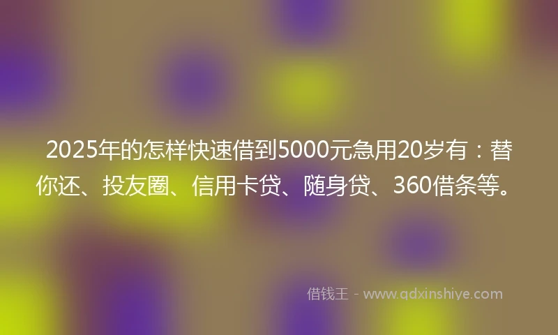 2025年的怎样快速借到5000元急用20岁有：替你还、投友圈、信用卡贷、随身贷、360借条等。