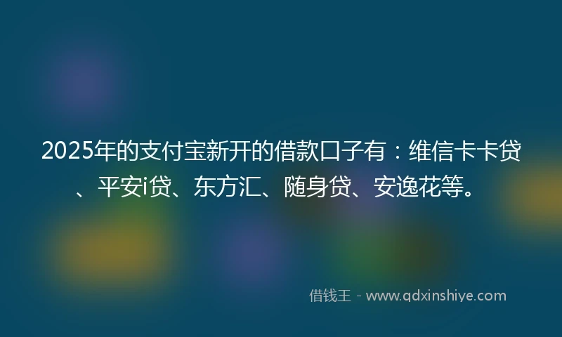 2025年的支付宝新开的借款口子有：维信卡卡贷、平安i贷、东方汇、随身贷、安逸花等。
