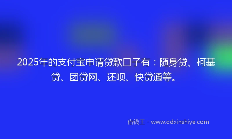 2025年的支付宝申请贷款口子有：随身贷、柯基贷、团贷网、还呗、快贷通等。