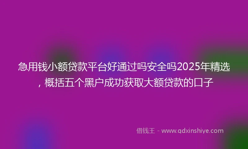 急用钱小额贷款平台好通过吗安全吗2025年精选，概括五个黑户成功获取大额贷款的口子