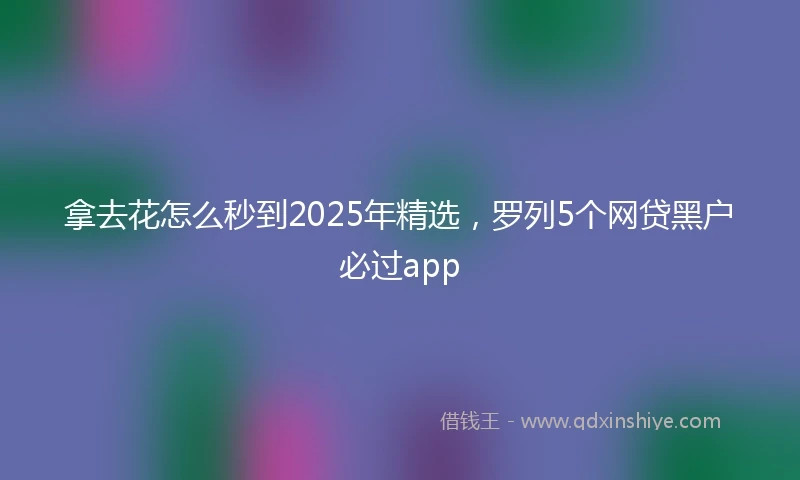 拿去花怎么秒到2025年精选，罗列5个网贷黑户必过app