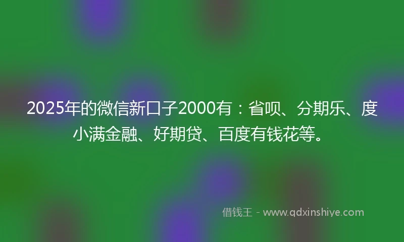 2025年的微信新口子2000有：省呗、分期乐、度小满金融、好期贷、百度有钱花等。