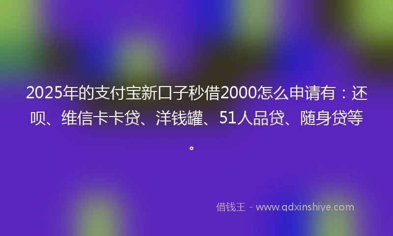 2025年的支付宝新口子秒借2000怎么申请有：还呗、维信卡卡贷、洋钱罐、51人品贷、随身贷等。