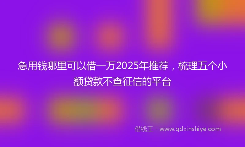 急用钱哪里可以借一万2025年推荐，梳理五个小额贷款不查征信的平台