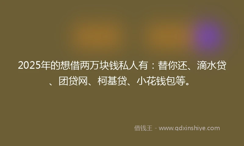 2025年的想借两万块钱私人有：替你还、滴水贷、团贷网、柯基贷、小花钱包等。