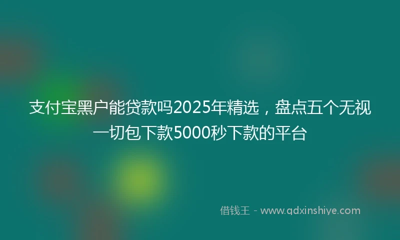 支付宝黑户能贷款吗2025年精选，盘点五个无视一切包下款5000秒下款的平台