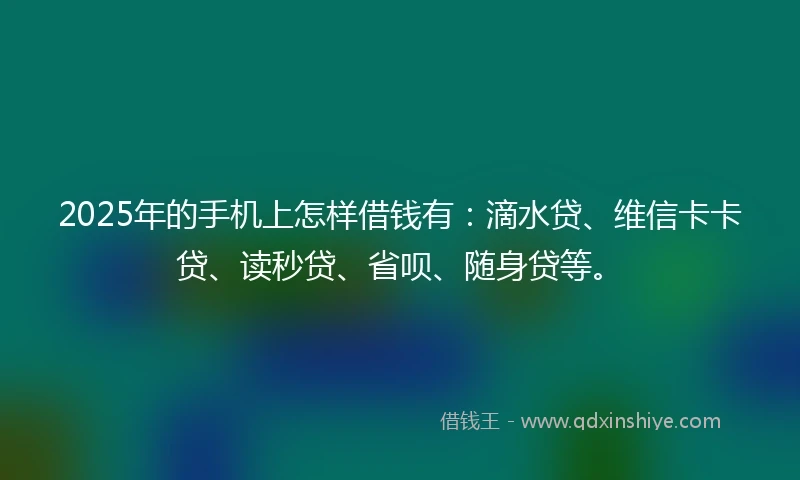 2025年的手机上怎样借钱有：滴水贷、维信卡卡贷、读秒贷、省呗、随身贷等。
