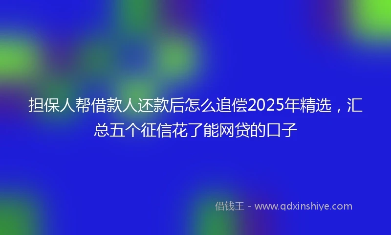 担保人帮借款人还款后怎么追偿2025年精选，汇总五个征信花了能网贷的口子