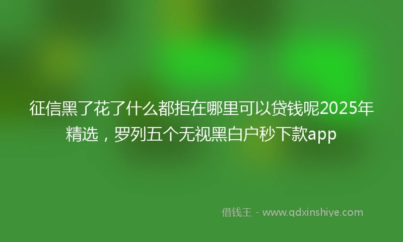 征信黑了花了什么都拒在哪里可以贷钱呢2025年精选，罗列五个无视黑白户秒下款app