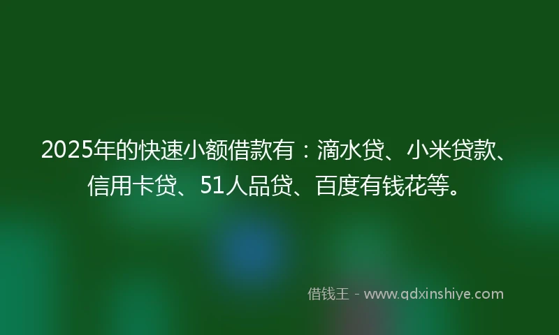 2025年的快速小额借款有：滴水贷、小米贷款、信用卡贷、51人品贷、百度有钱花等。
