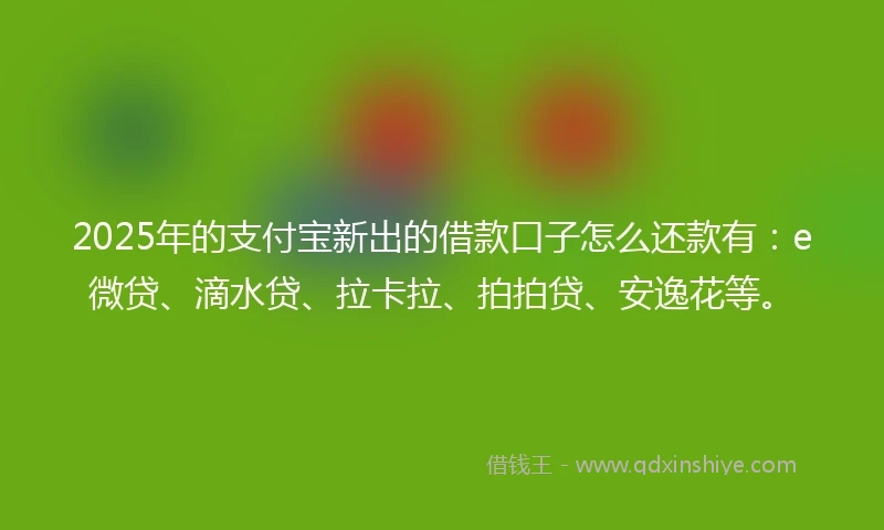 2025年的支付宝新出的借款口子怎么还款有：e微贷、滴水贷、拉卡拉、拍拍贷、安逸花等。