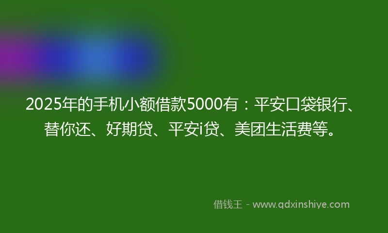 2025年的手机小额借款5000有：平安口袋银行、替你还、好期贷、平安i贷、美团生活费等。