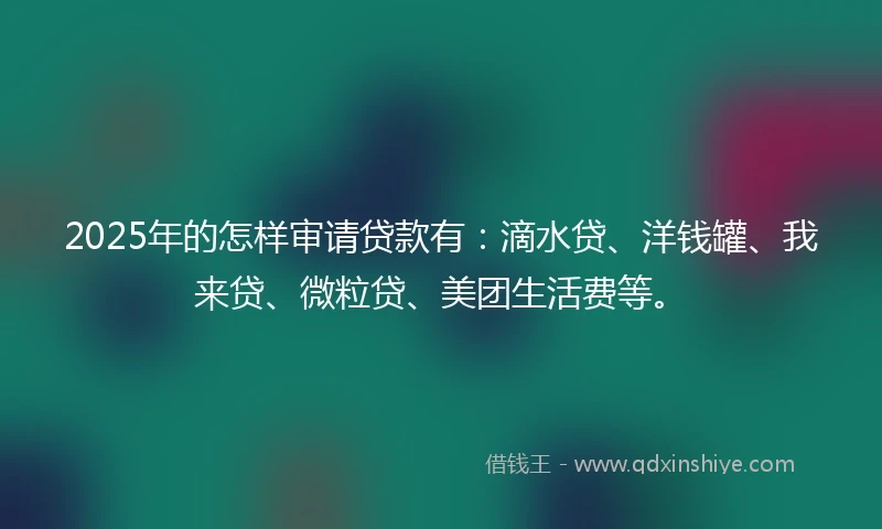 2025年的怎样审请贷款有：滴水贷、洋钱罐、我来贷、微粒贷、美团生活费等。