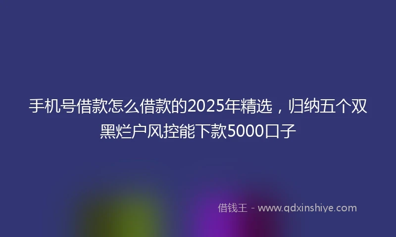 手机号借款怎么借款的2025年精选，归纳五个双黑烂户风控能下款5000口子
