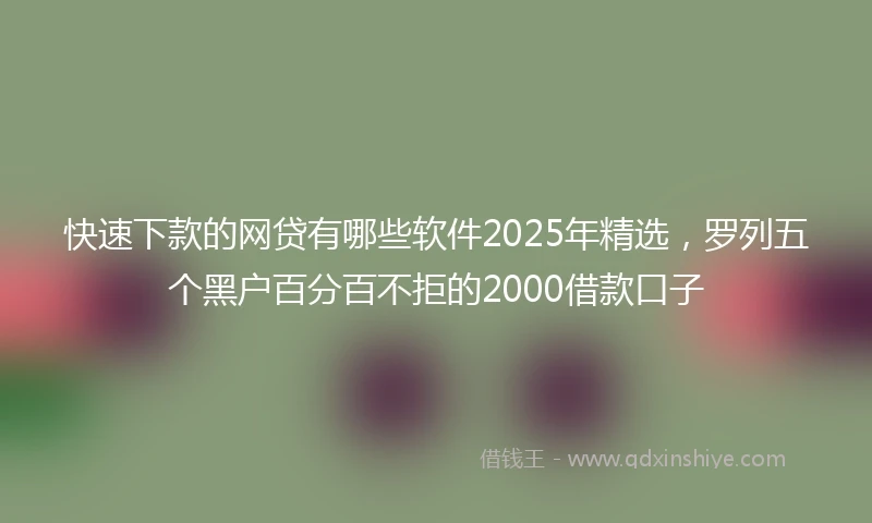 快速下款的网贷有哪些软件2025年精选，罗列五个黑户百分百不拒的2000借款口子