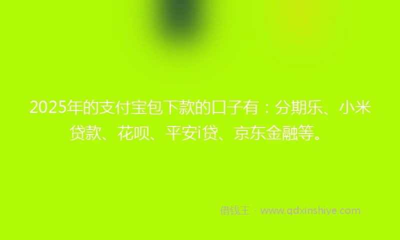 2025年的支付宝包下款的口子有：分期乐、小米贷款、花呗、平安i贷、京东金融等。