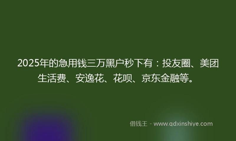 2025年的急用钱三万黑户秒下有：投友圈、美团生活费、安逸花、花呗、京东金融等。