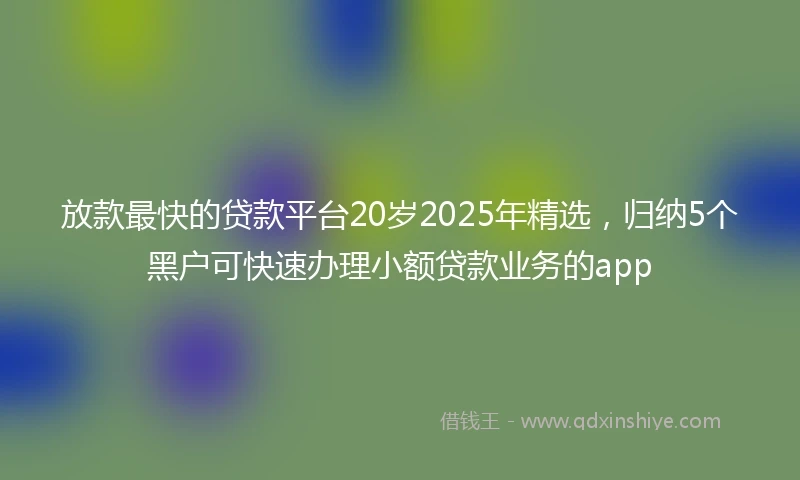 放款最快的贷款平台20岁2025年精选，归纳5个黑户可快速办理小额贷款业务的app