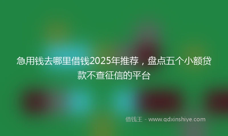 急用钱去哪里借钱2025年推荐，盘点五个小额贷款不查征信的平台