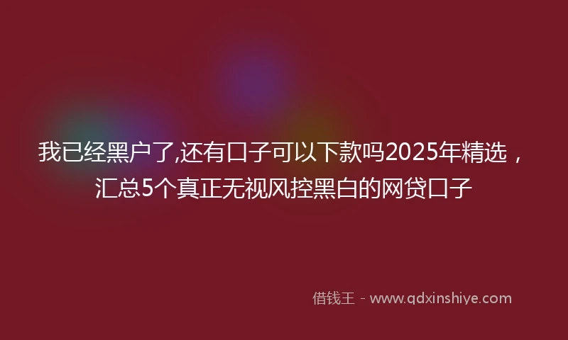我已经黑户了,还有口子可以下款吗2025年精选，汇总5个真正无视风控黑白的网贷口子