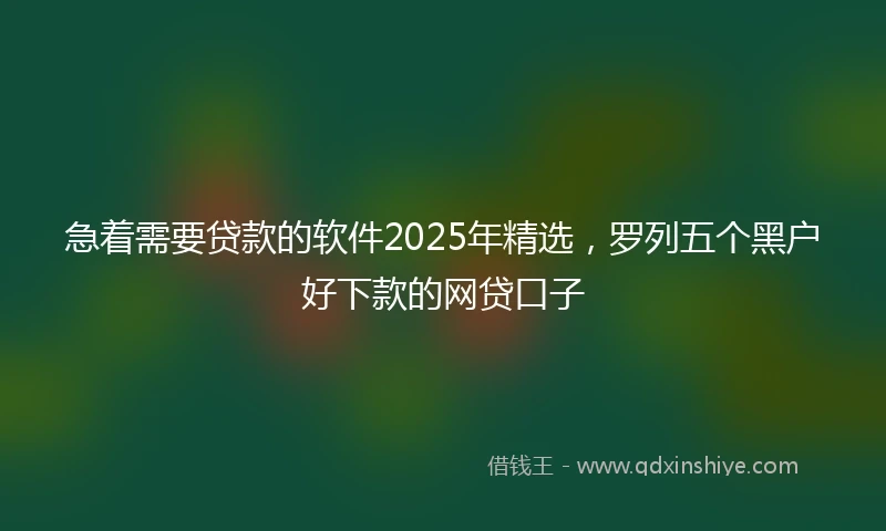 急着需要贷款的软件2025年精选，罗列五个黑户好下款的网贷口子