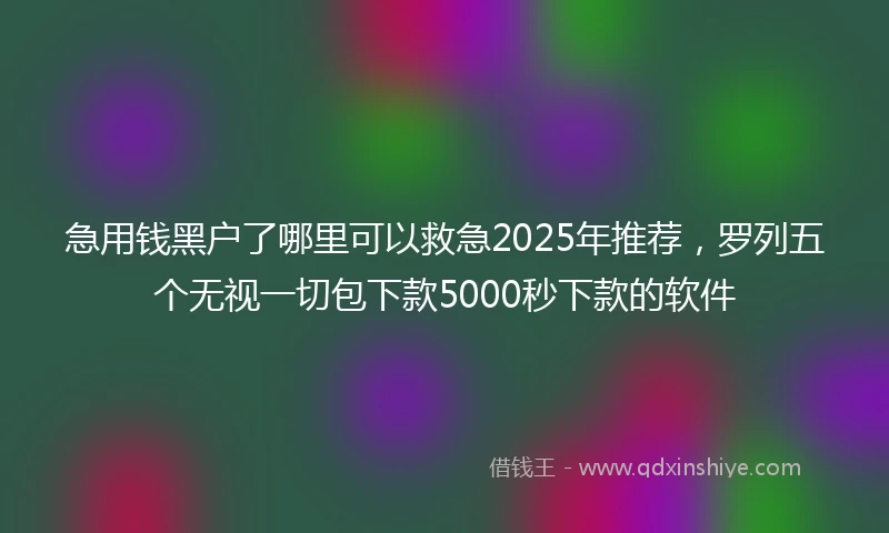 急用钱黑户了哪里可以救急2025年推荐，罗列五个无视一切包下款5000秒下款的软件