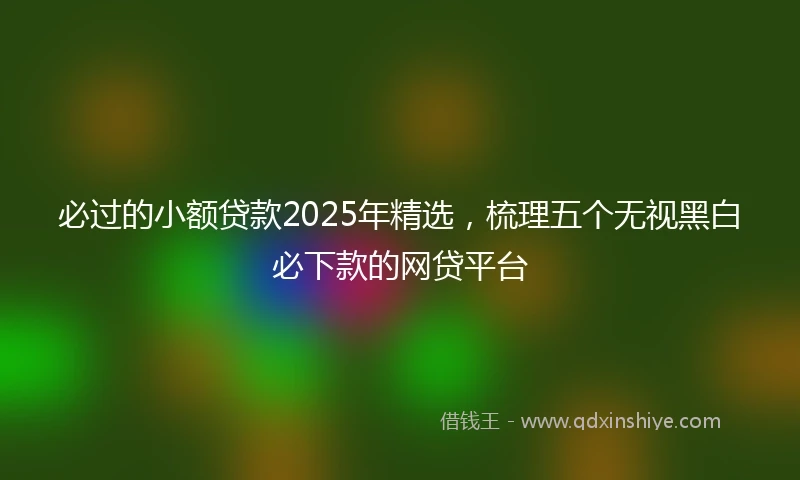 必过的小额贷款2025年精选，梳理五个无视黑白必下款的网贷平台