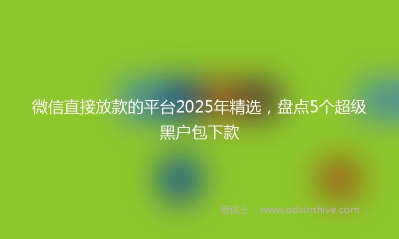 微信直接放款的平台2025年精选,盘点5个超级黑户包下款