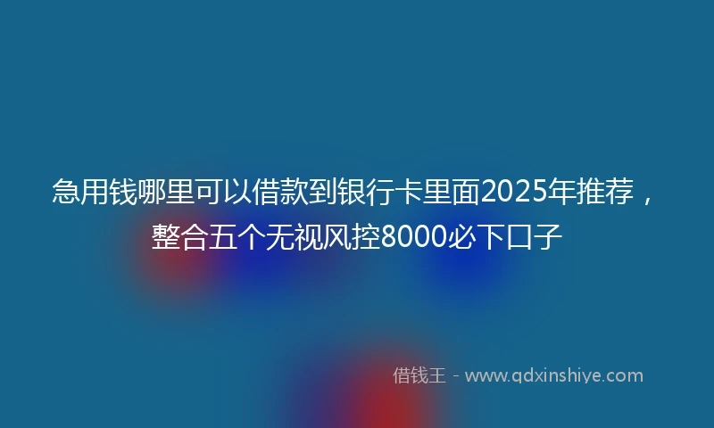 急用钱哪里可以借款到银行卡里面2025年推荐，整合五个无视风控8000必下口子