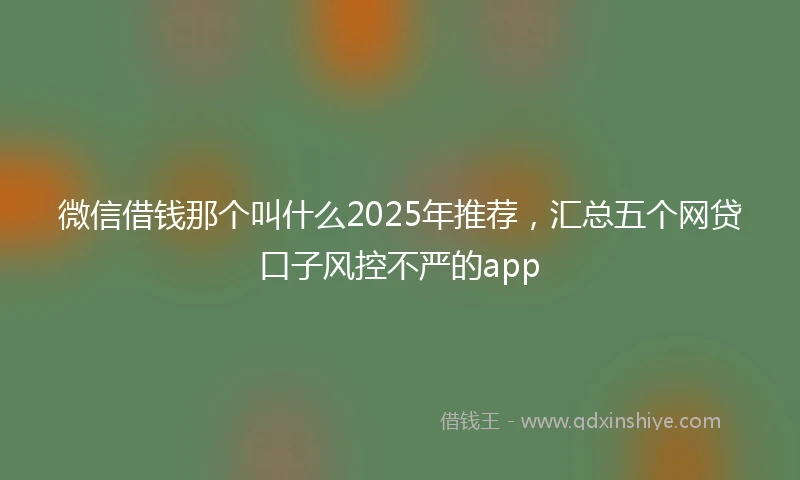 微信借钱那个叫什么2025年推荐，汇总五个网贷口子风控不严的app