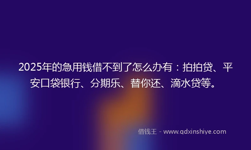 2025年的急用钱借不到了怎么办有：拍拍贷、平安口袋银行、分期乐、替你还、滴水贷等。
