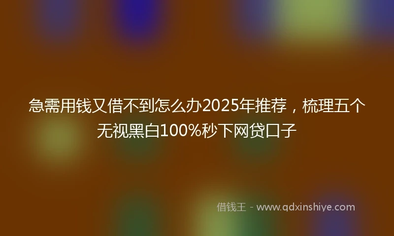 急需用钱又借不到怎么办2025年推荐，梳理五个无视黑白100%秒下网贷口子