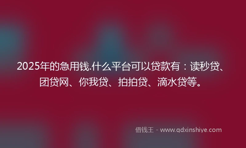 2025年的急用钱.什么平台可以贷款有：读秒贷、团贷网、你我贷、拍拍贷、滴水贷等。