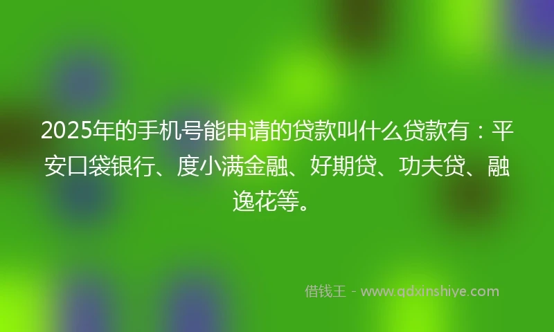 2025年的手机号能申请的贷款叫什么贷款有：平安口袋银行、度小满金融、好期贷、功夫贷、融逸花等。