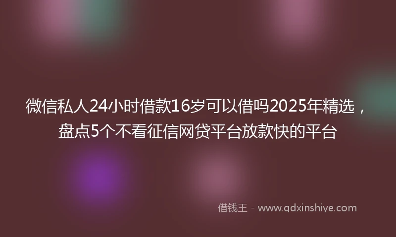 微信私人24小时借款16岁可以借吗2025年精选，盘点5个不看征信网贷平台放款快的平台