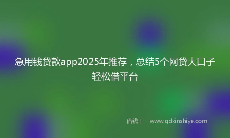 急用钱贷款app2025年推荐，总结5个网贷大口子轻松借平台
