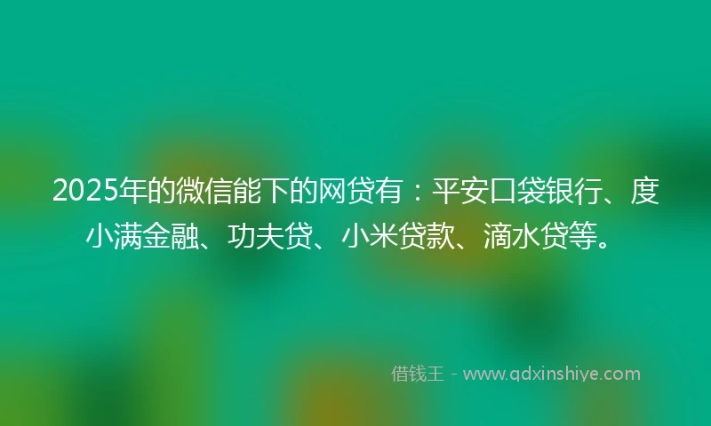 2025年的微信能下的网贷有：平安口袋银行、度小满金融、功夫贷、小米贷款、滴水贷等。