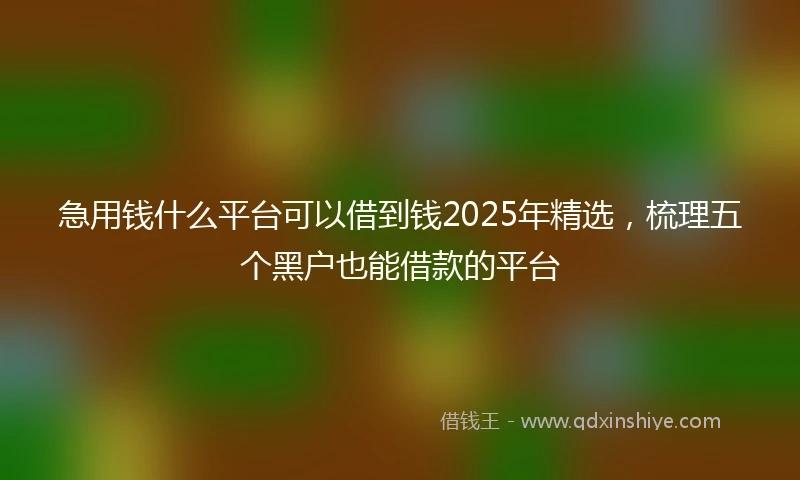 急用钱什么平台可以借到钱2025年精选，梳理五个黑户也能借款的平台