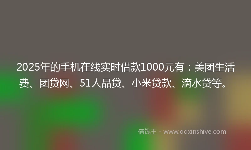 2025年的手机在线实时借款1000元有：美团生活费、团贷网、51人品贷、小米贷款、滴水贷等。